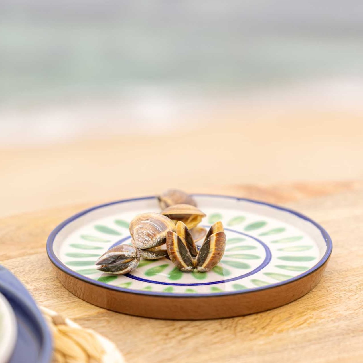 Vilamoura Hand Painted Side Plate