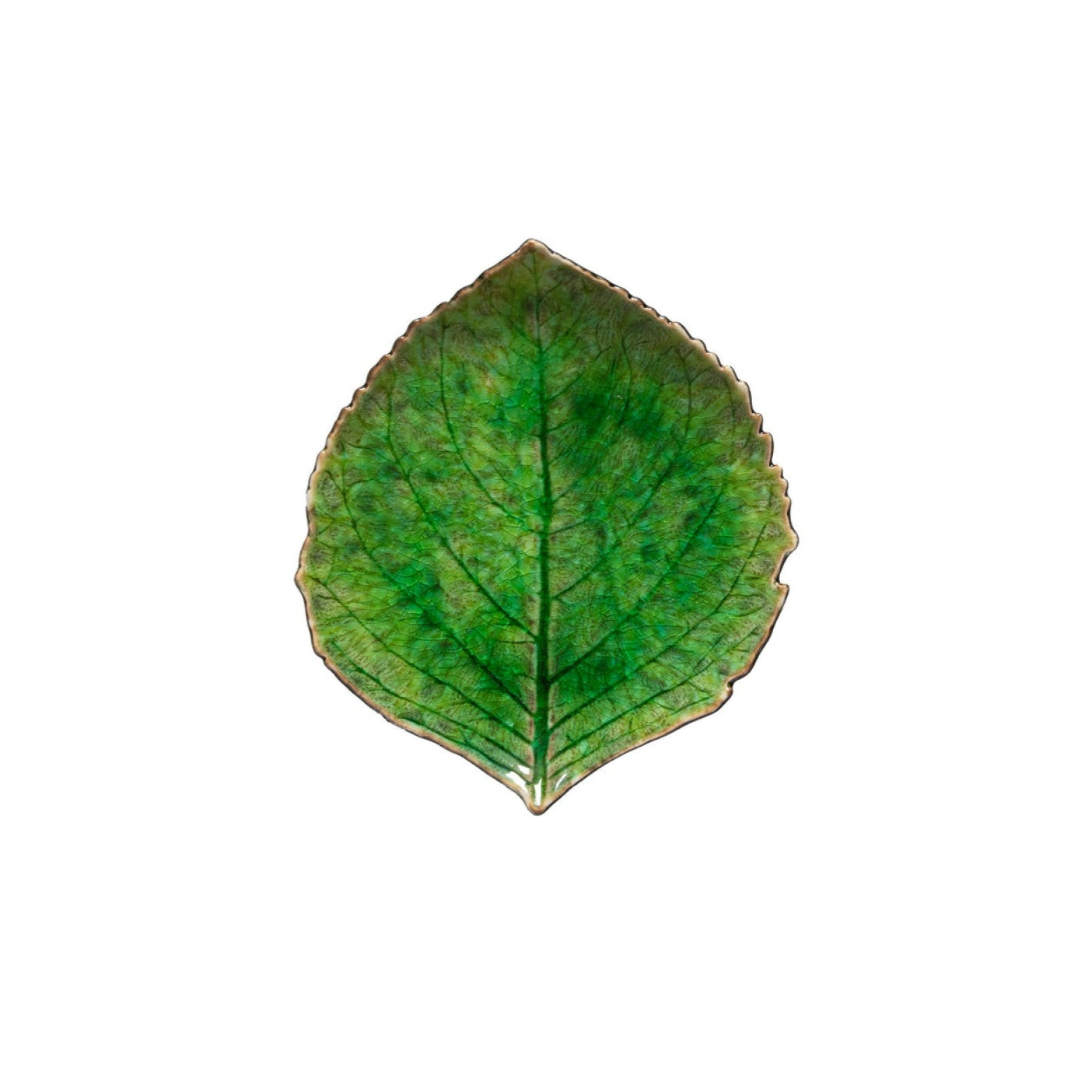 Riviera Hydrangea Leaf Forest Green