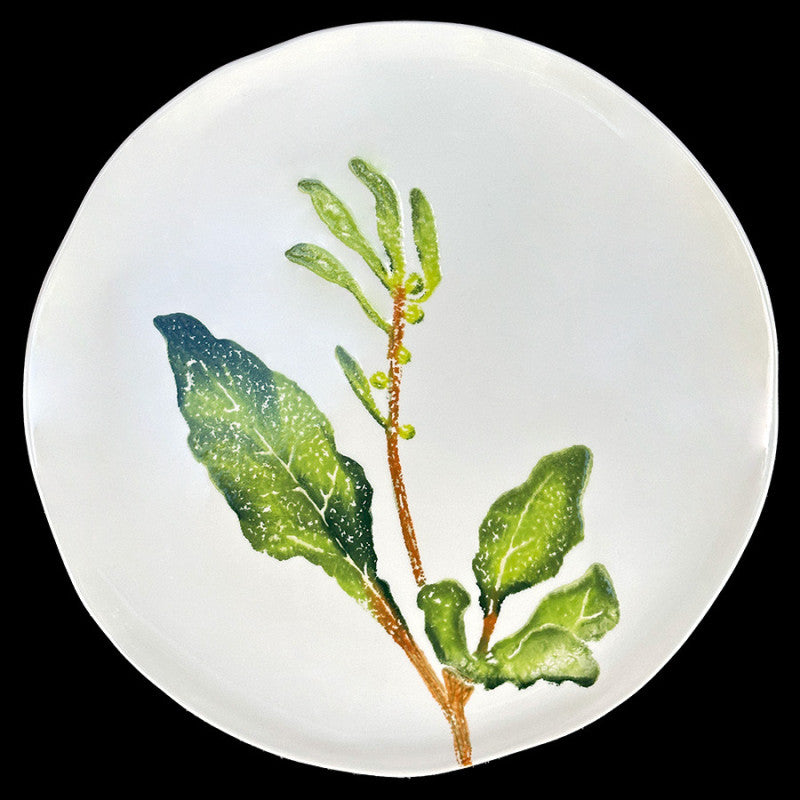 Chard Dinner Plate