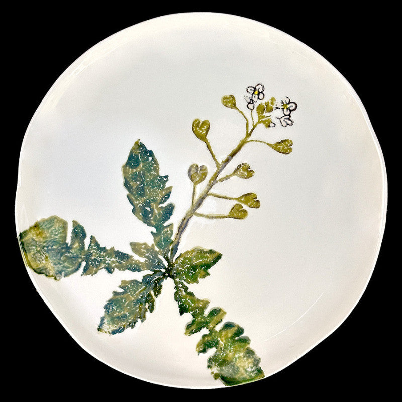Shepherd's Purse Dinner Plate